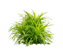 Untitled_design_-_2026-02-13T110041.292-removebg-preview